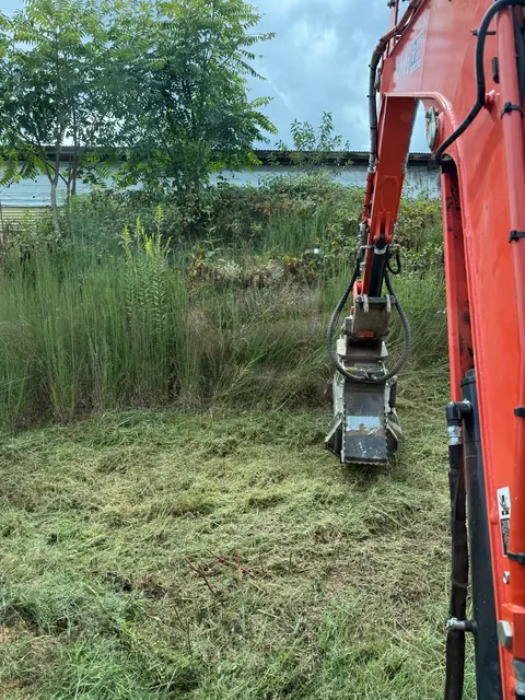 Excavator with a flail mower head cutting down tall overgrown grass.